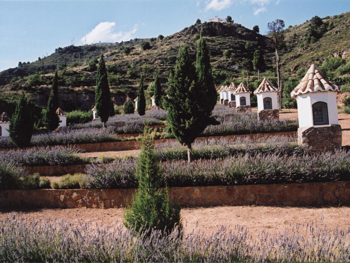Rurales San Juan