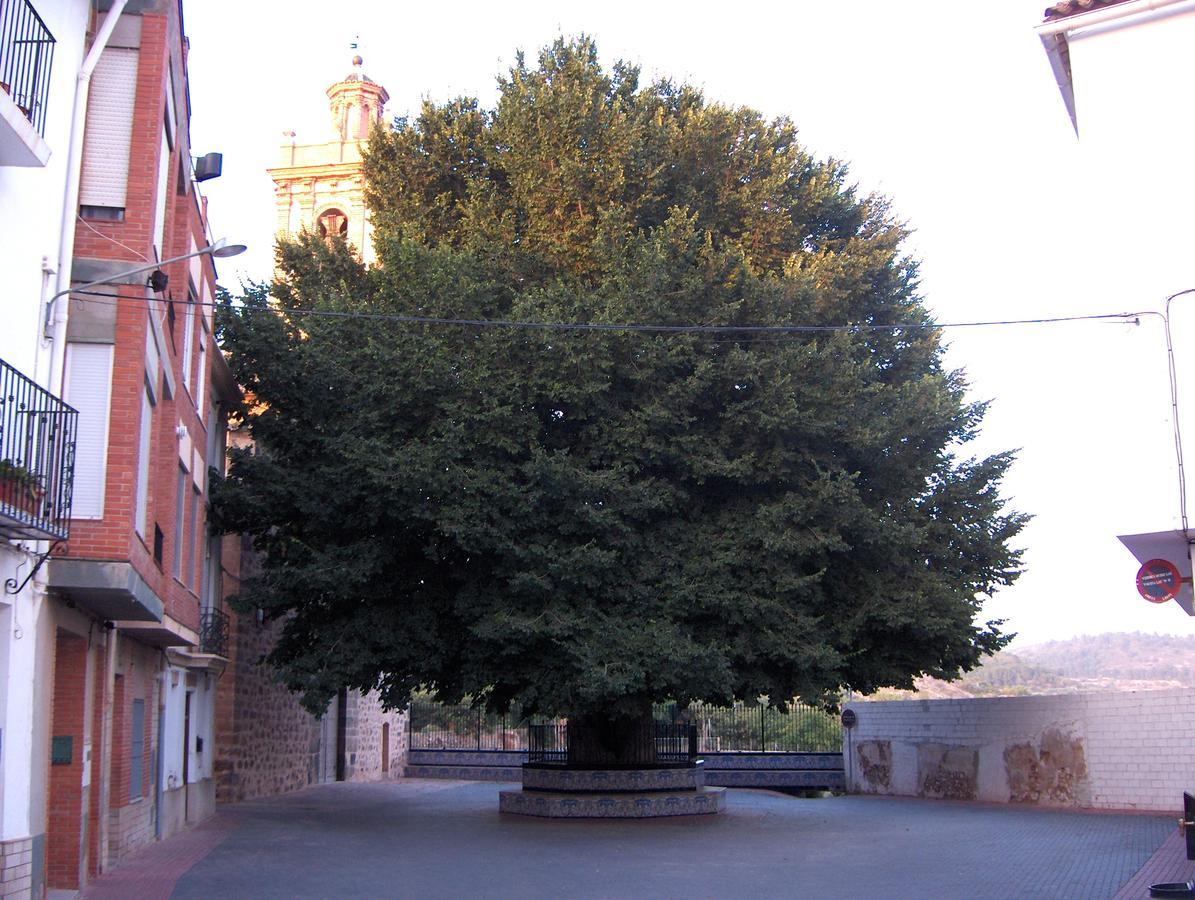 Rurales San Juan Castellnovo
